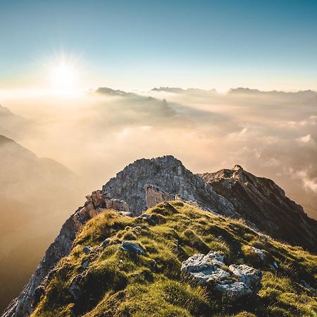Alpine Suite Seefeld 제펠드 인 티롤 외부 사진